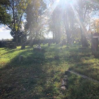 Szkoła Pamięta 2019